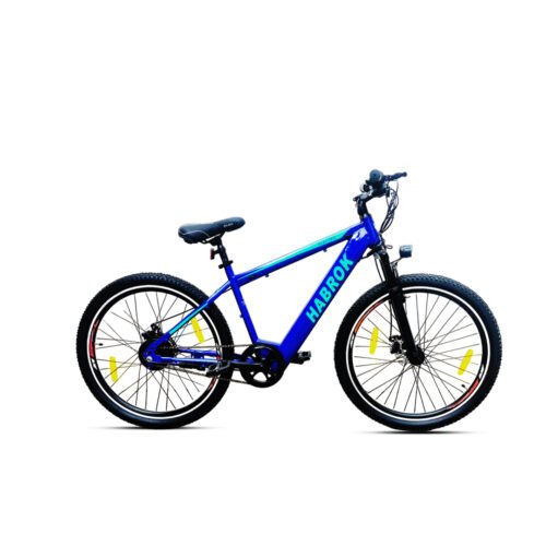 Electric Bike Steel Single Speed