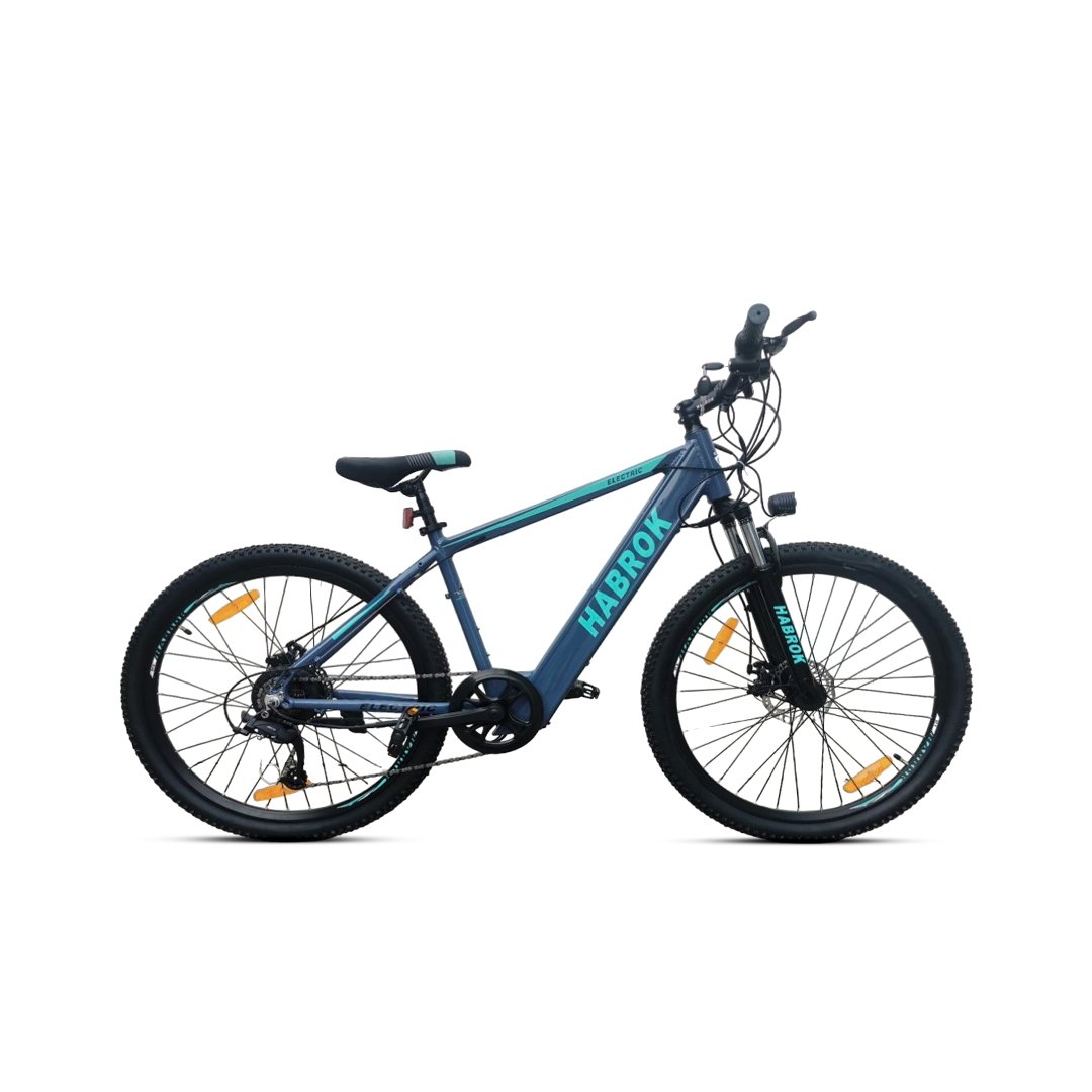Electric Bike Alloy 7 Speed