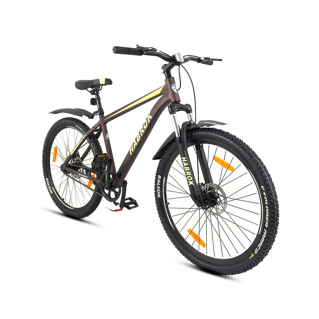 Habrok Copper MTB Single Speed - Image 2