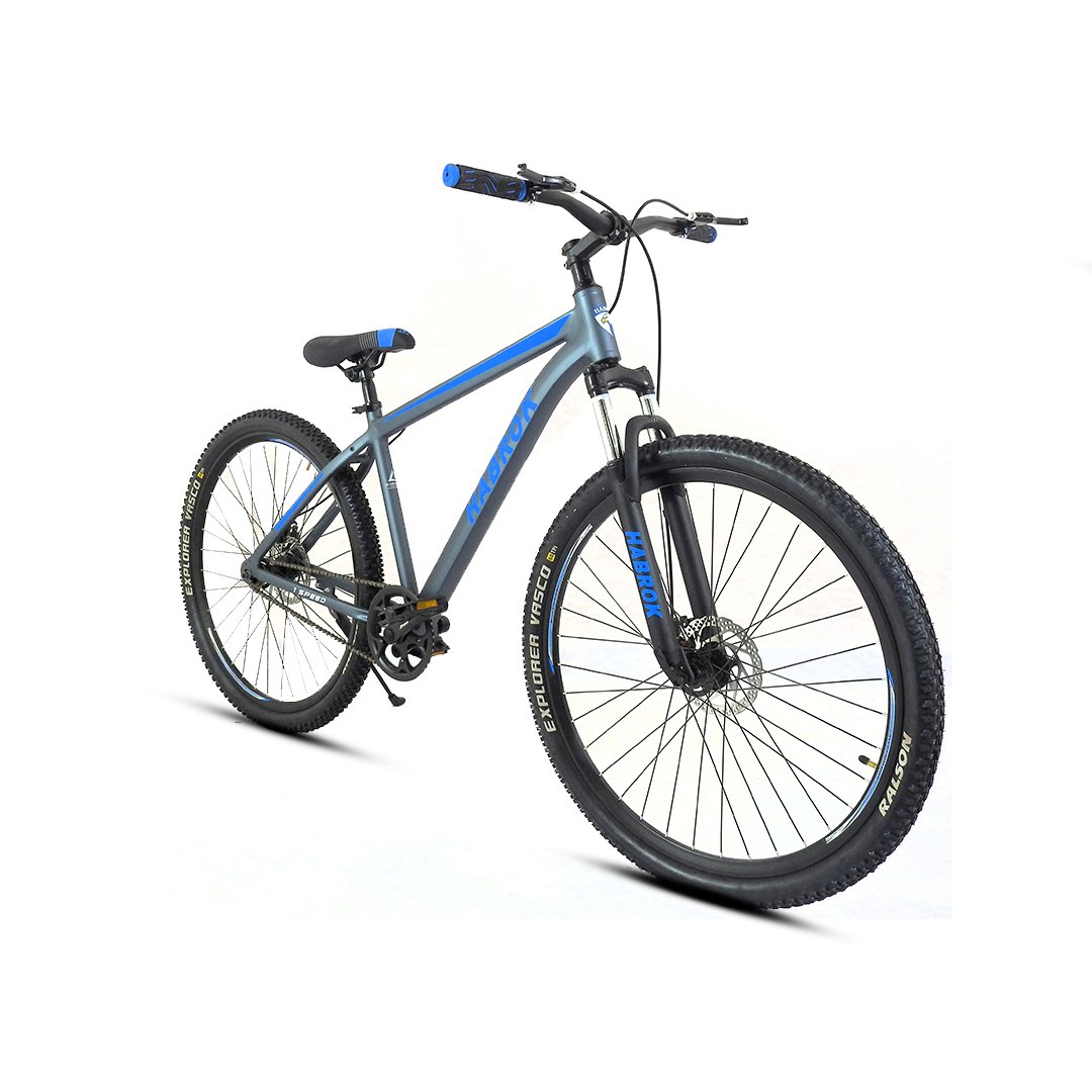 Habrok Grey MTB Single Speed - Image 2