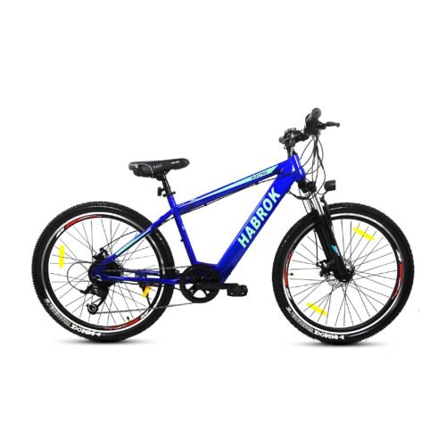 Electric Bike Steel 7 Speed